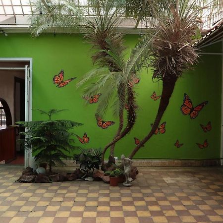Casa Mayela Guest House San Jose  Luaran gambar